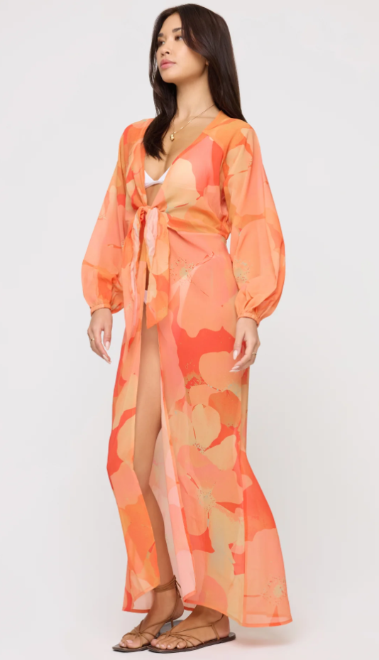Anna Cover-Up